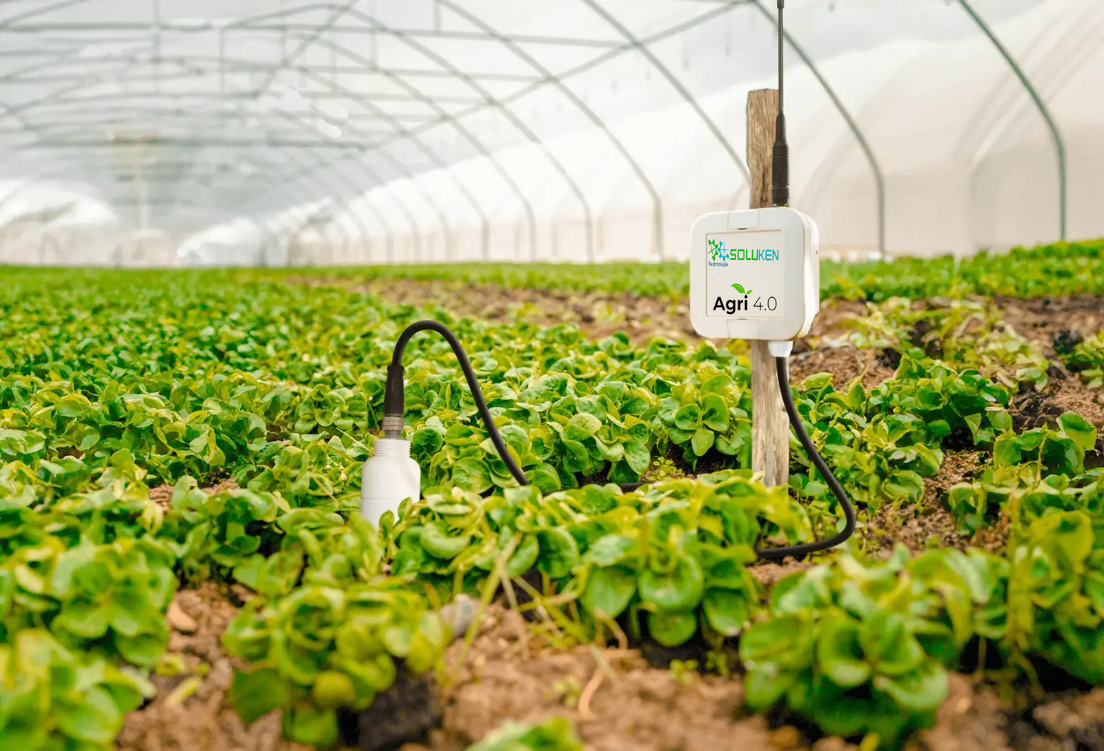 Capteur intelligent SOLUKEN - mesure de la tension hydrique des sols